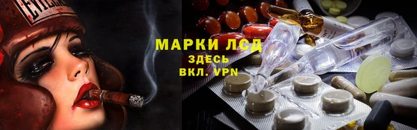 стаф Балахна