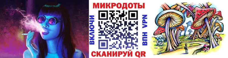 Галлюциногенные грибы Psilocybe Луга
