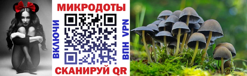 Псилоцибиновые грибы ЛСД  Луга 